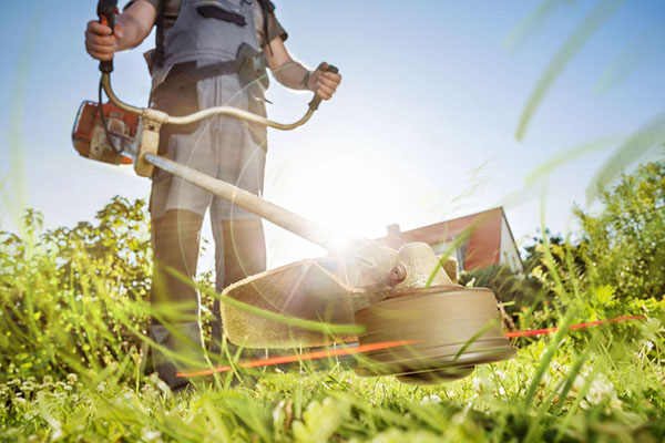 entretien de jardin